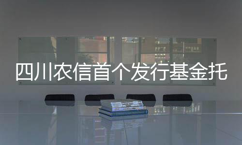 四川农信首个发行基金托管库在汉源农信联社正式启用