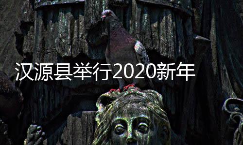 汉源县举行2020新年音乐会