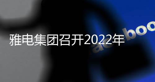 雅电集团召开2022年迎新暨用电客户座谈会