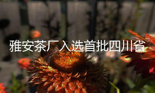 雅安茶厂入选首批四川省非物质文化遗产保护传承基地