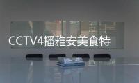 CCTV4播雅安美食特辑